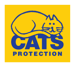 Cats---Yellow---Blue